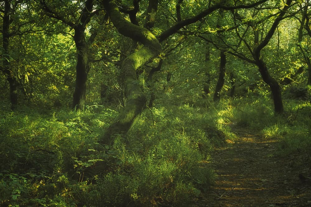 15 lieux magnifiques à découvrir dans le Staffordshire