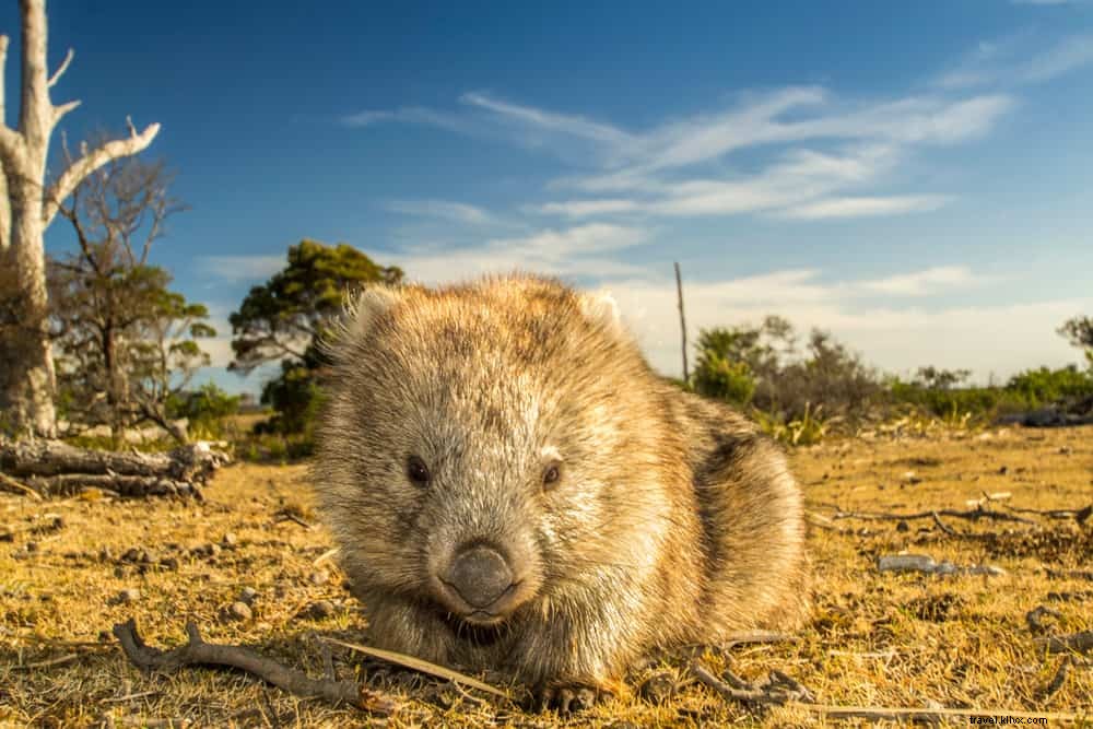 Les 20 plus beaux sites à découvrir en Australie