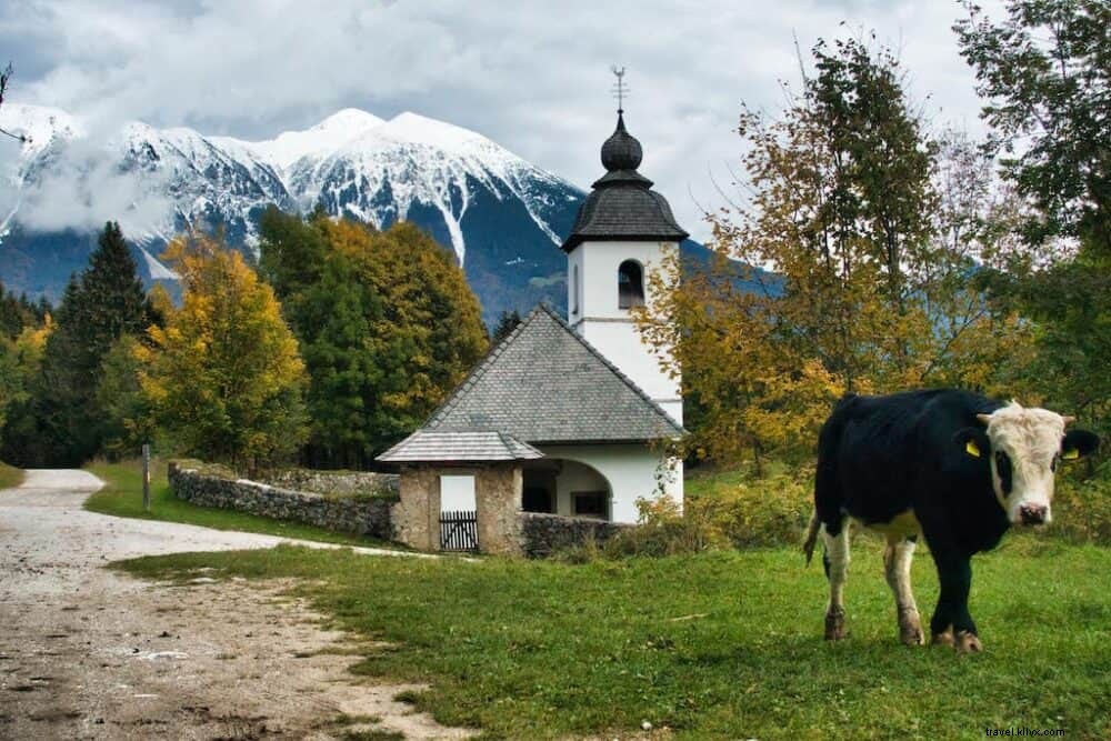 12 des plus beaux sites à découvrir en Slovénie