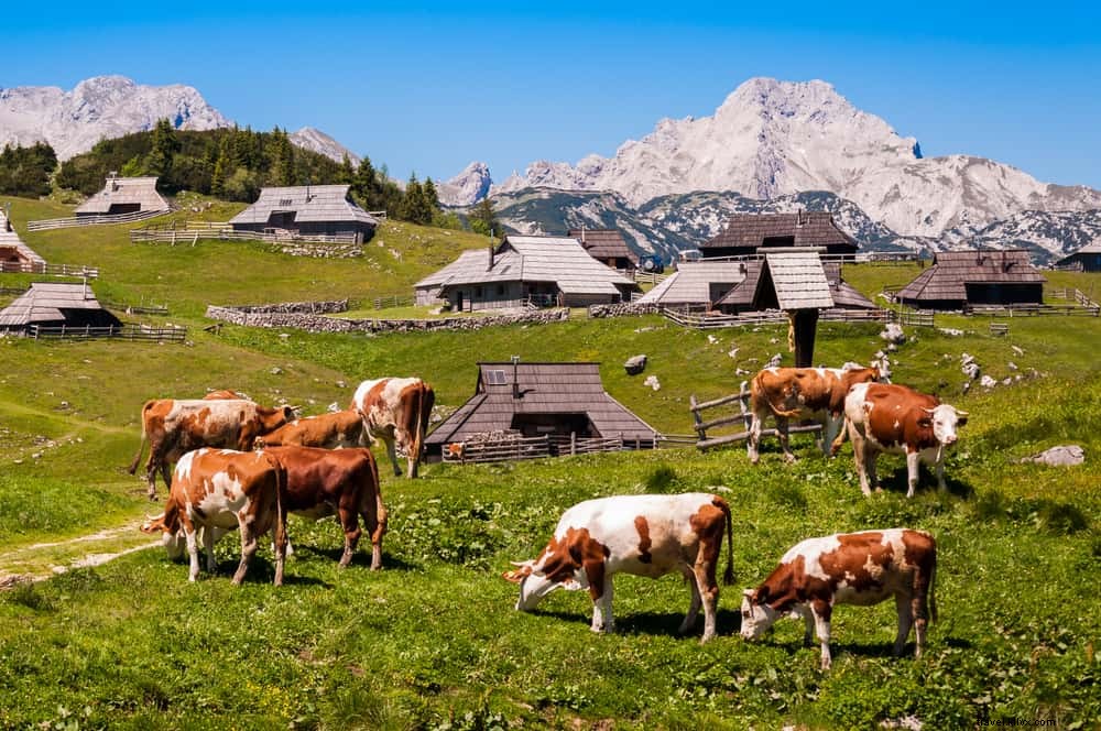 12 des plus beaux sites à découvrir en Slovénie