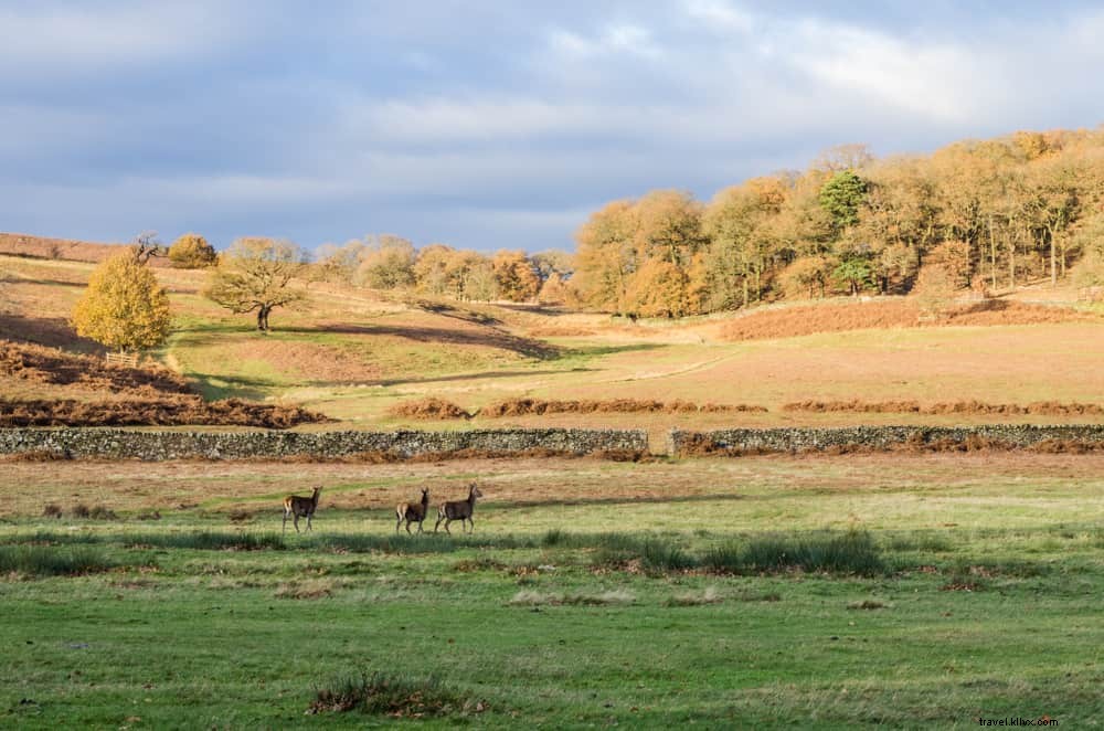 15 magnifiques lieux à visiter dans le Leicestershire