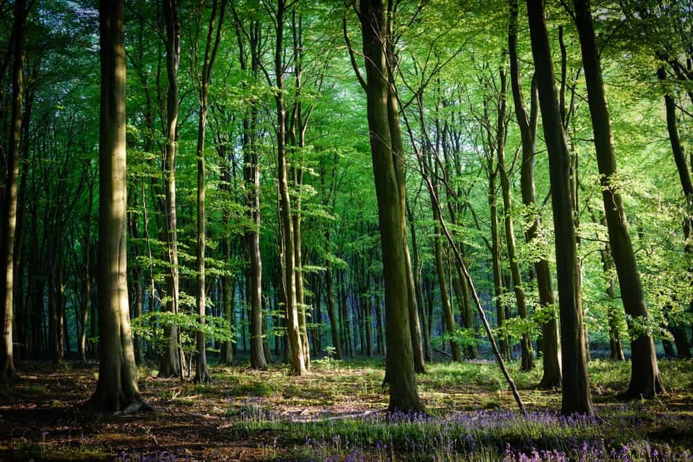 15 magnifiques lieux à visiter dans le Leicestershire
