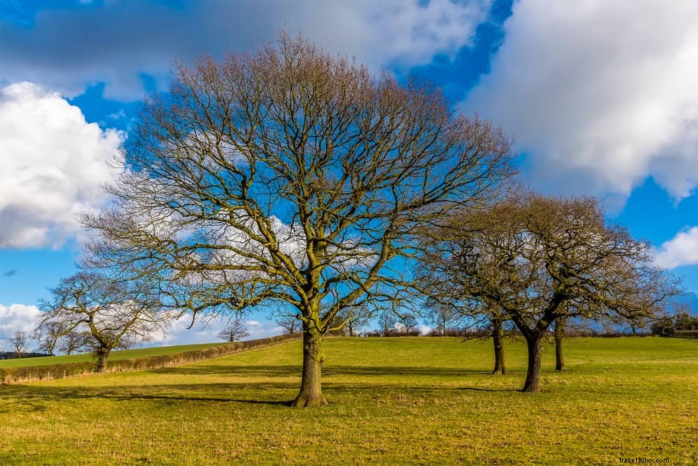 15 magnifiques lieux à visiter dans le Leicestershire