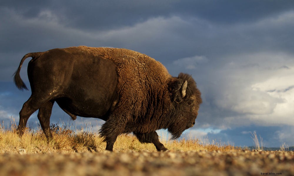 23 des plus beaux endroits à visiter au Montana