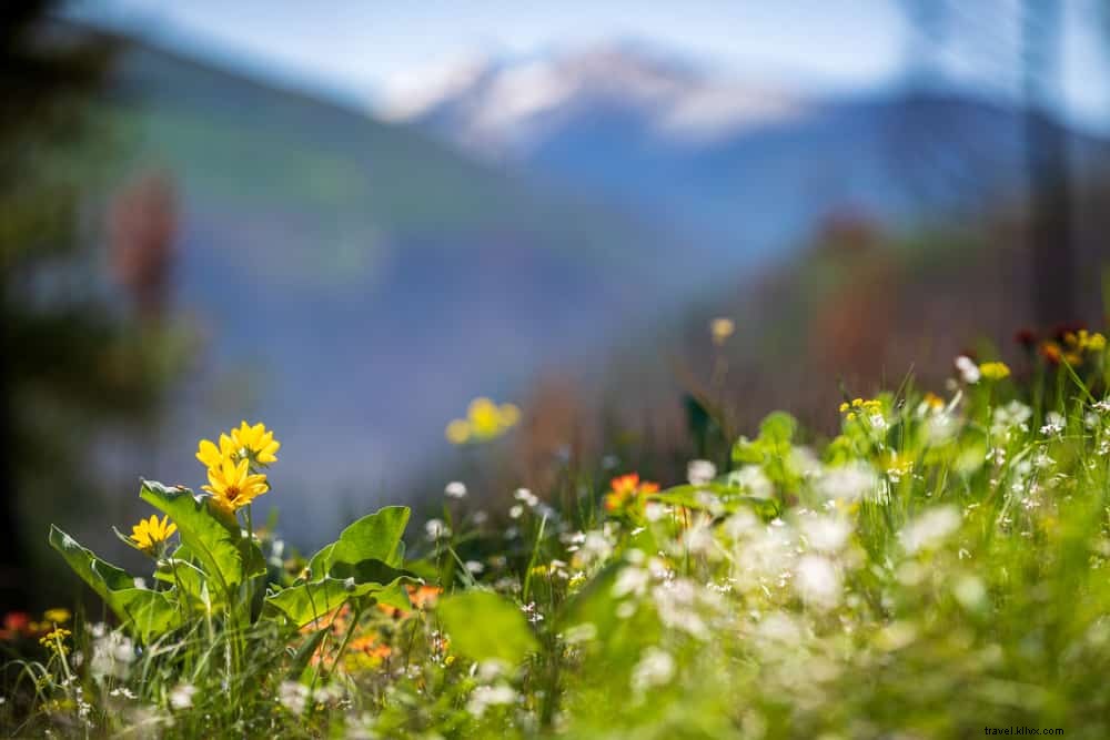 23 des plus beaux endroits à visiter au Montana