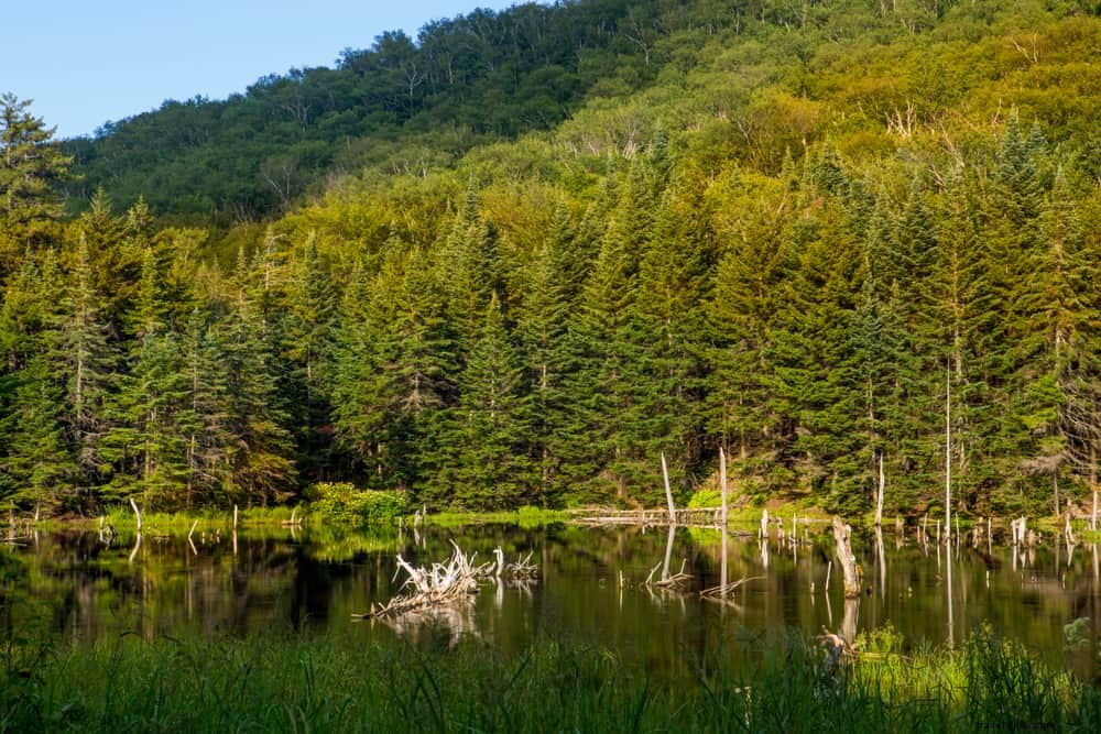 Les 21 plus beaux sites à découvrir au Vermont