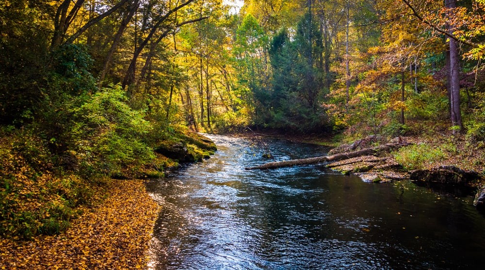 Les 15 plus beaux sites à découvrir dans le Maryland