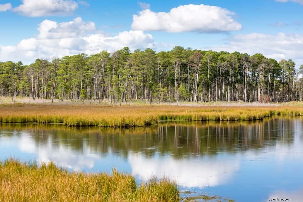 Les 15 plus beaux sites à découvrir dans le Maryland