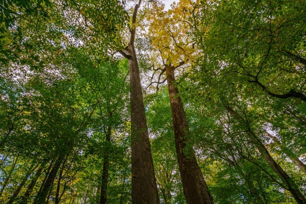 15 lieux incontournables à visiter en Caroline du Nord