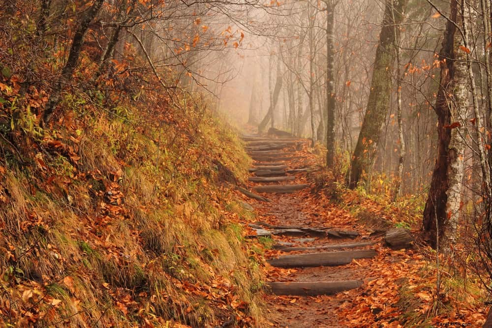 15 lieux incontournables à visiter en Caroline du Nord