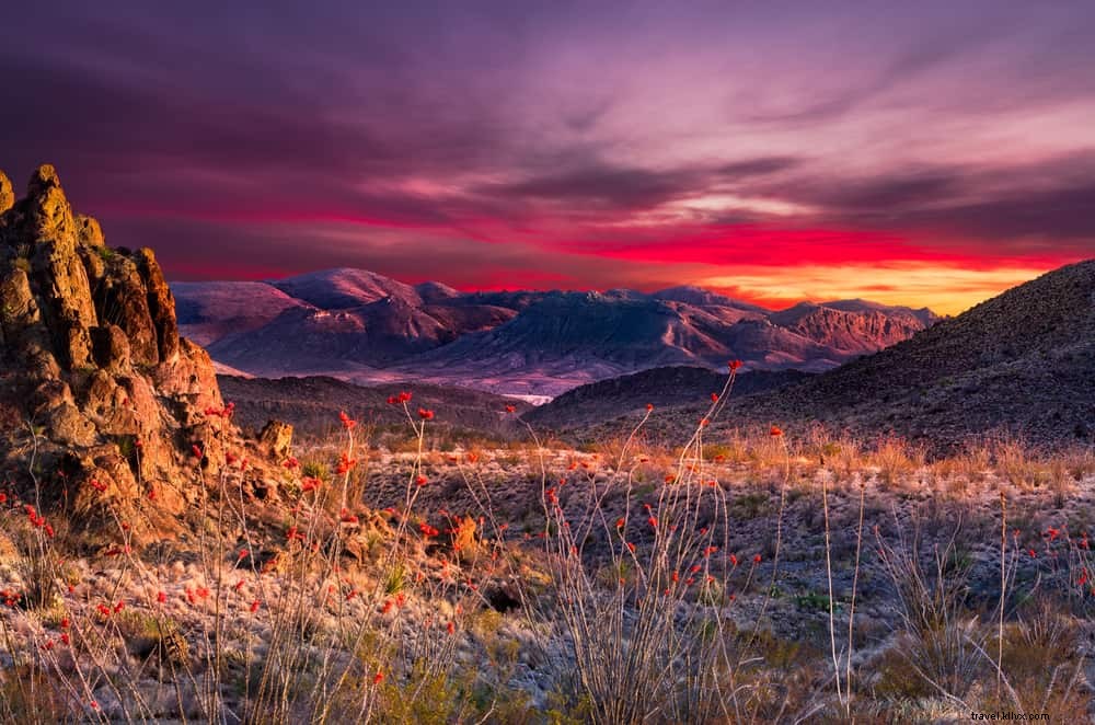 Les 20 plus beaux sites à découvrir au Texas