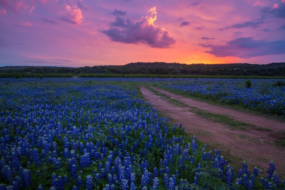 Les 20 plus beaux sites à découvrir au Texas