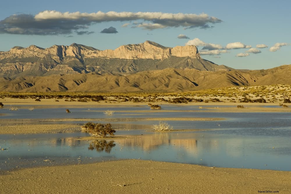 Les 20 plus beaux sites à découvrir au Texas