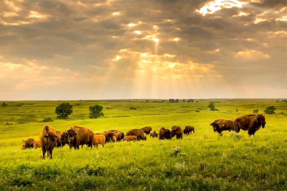 15 plus beaux endroits à visiter au Kansas