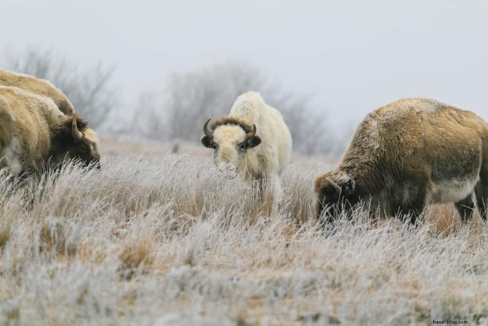 15 plus beaux endroits à visiter au Kansas