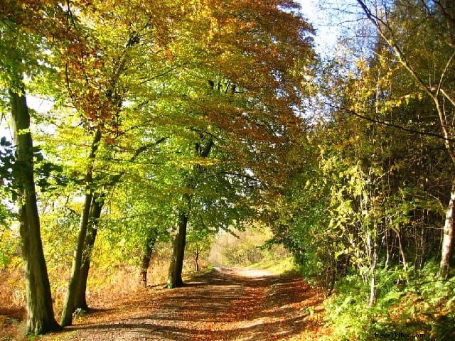 Les 15 plus beaux sites à découvrir dans le Cheshire