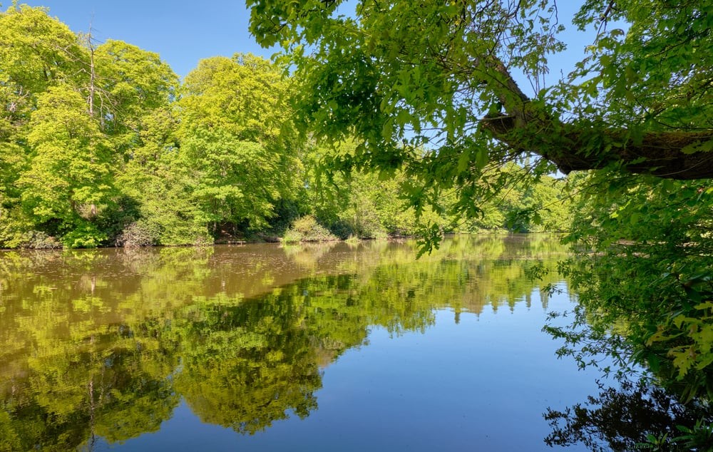 Les 15 plus beaux sites à découvrir dans le Cheshire