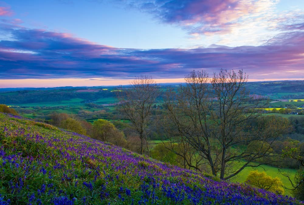 15 des plus beaux lieux à visiter dans le Worcestershire