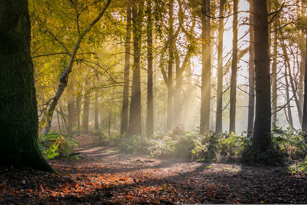 15 magnifiques lieux à découvrir dans le Bedfordshire