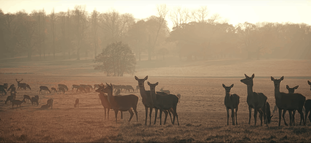 15 magnifiques lieux à découvrir dans le Bedfordshire