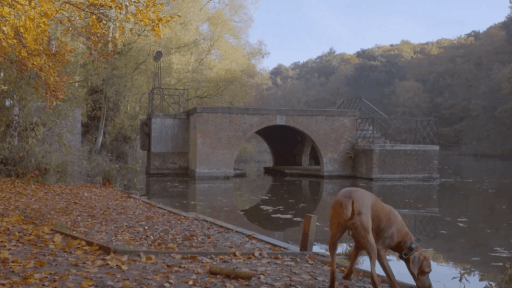 15 magnifiques lieux à découvrir dans le Bedfordshire