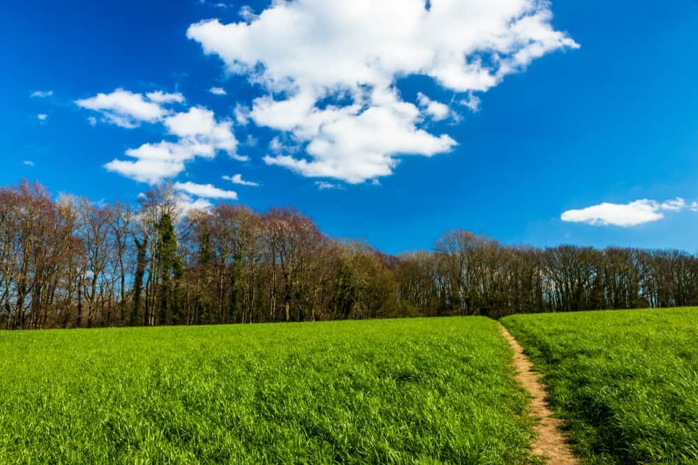 15 magnifiques lieux à découvrir dans le Bedfordshire