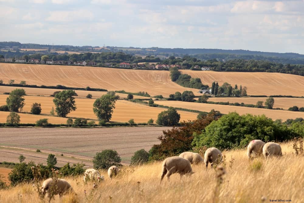 15 magnifiques lieux à découvrir dans le Bedfordshire