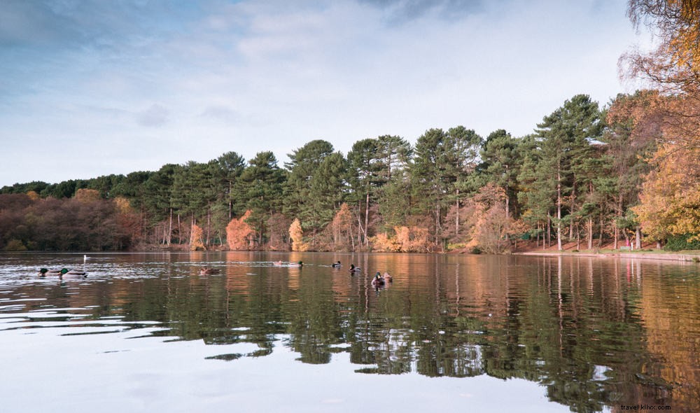 15 des plus beaux sites à découvrir dans les West Midlands