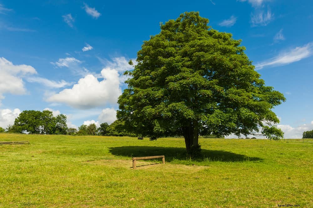 15 des plus beaux sites à découvrir dans les West Midlands