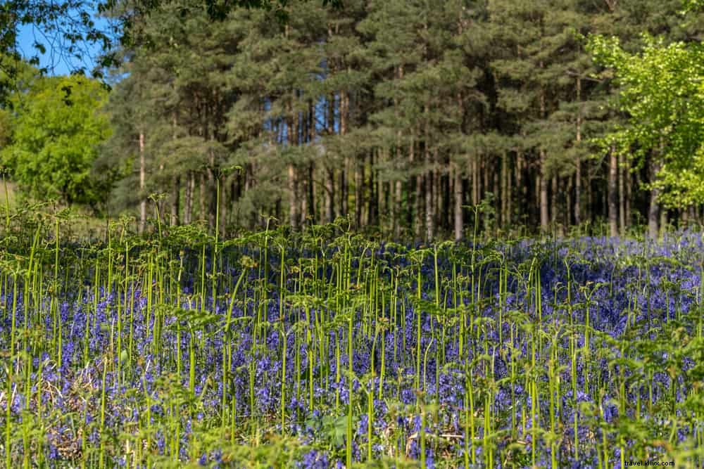 15 des plus beaux sites à découvrir dans les West Midlands