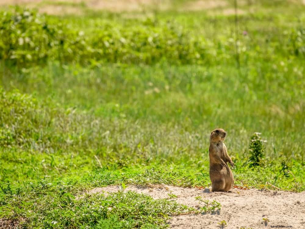 12 plus beaux endroits à visiter dans le Nebraska