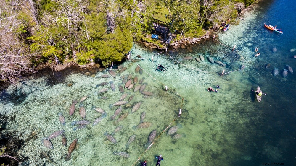 15 des plus beaux endroits à visiter en Floride