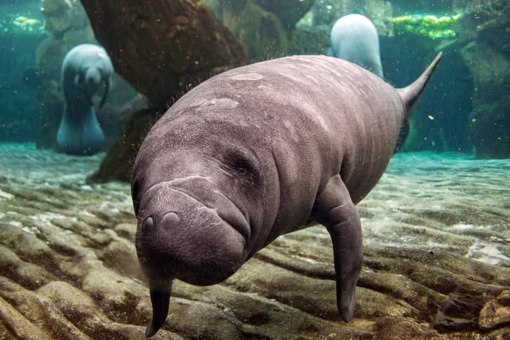 15 des plus beaux endroits à visiter en Floride