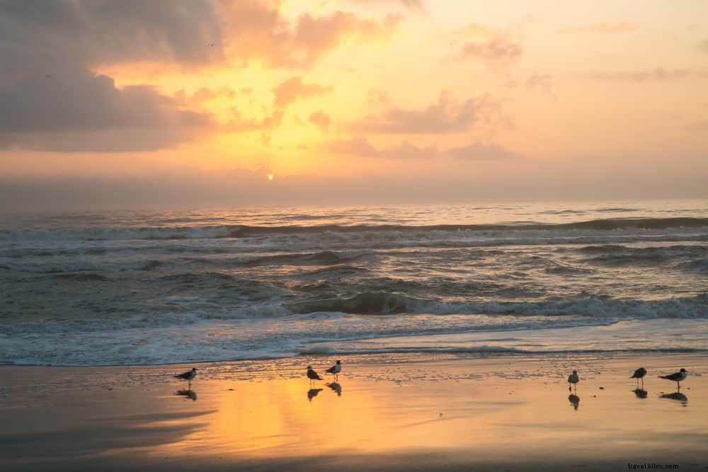 15 des plus beaux endroits à visiter en Floride
