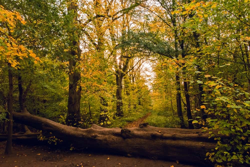 16 lieux magnifiques à visiter dans le Northamptonshire