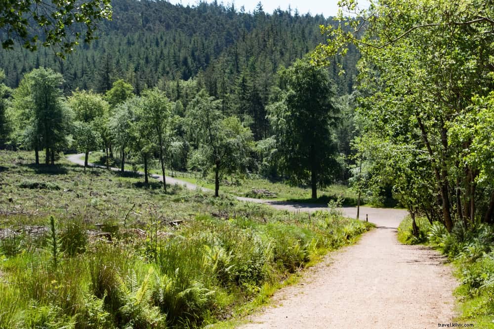 25 lieux incontournables à découvrir dans le Devon
