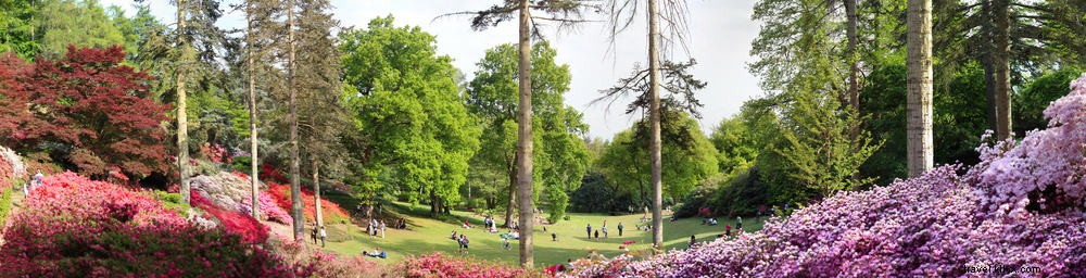Les 18 plus beaux sites à découvrir à Surrey