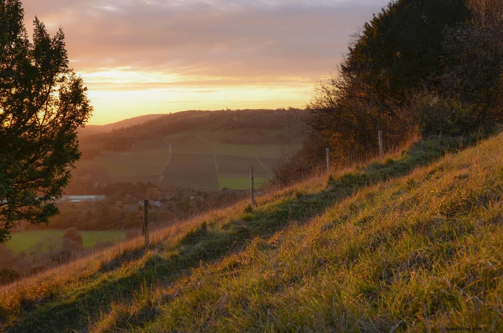 Les 18 plus beaux sites à découvrir à Surrey