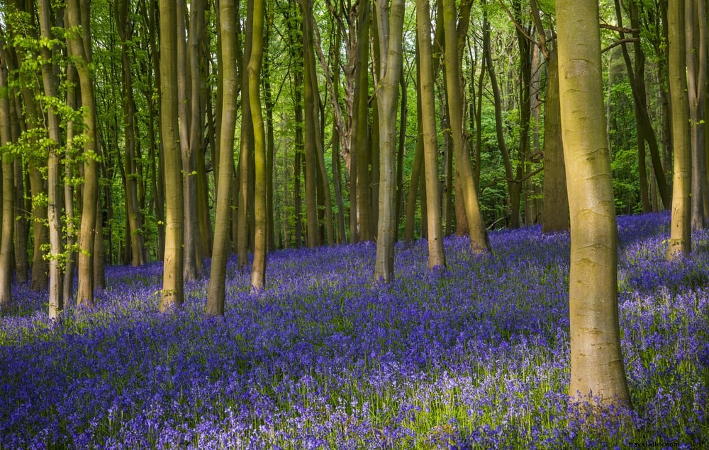 20 lieux magnifiques à découvrir dans l’Oxfordshire
