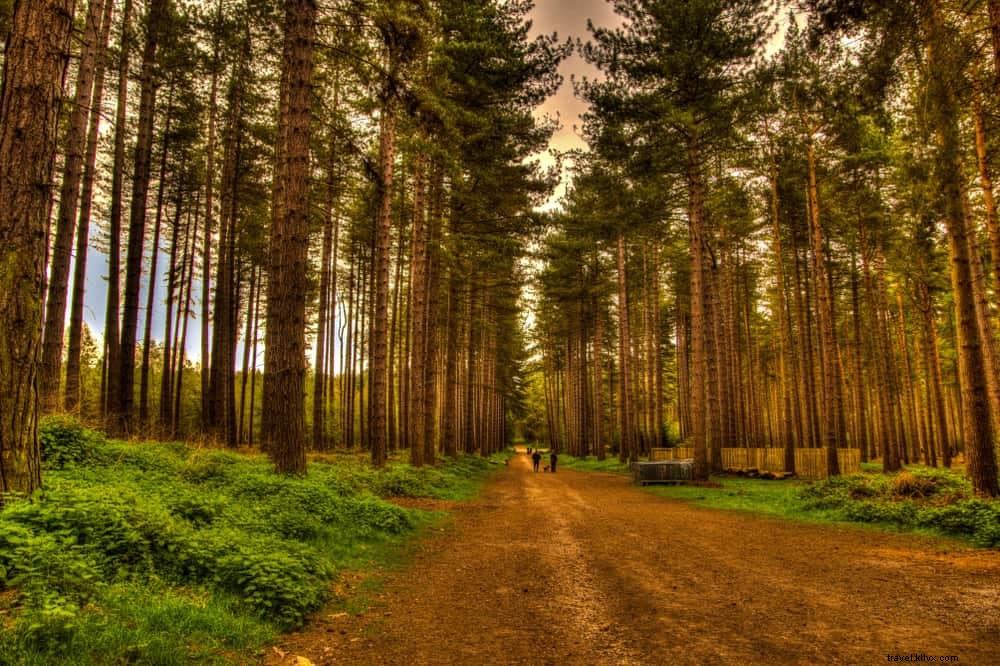 Les 15 plus beaux sites à explorer dans le Nottinghamshire
