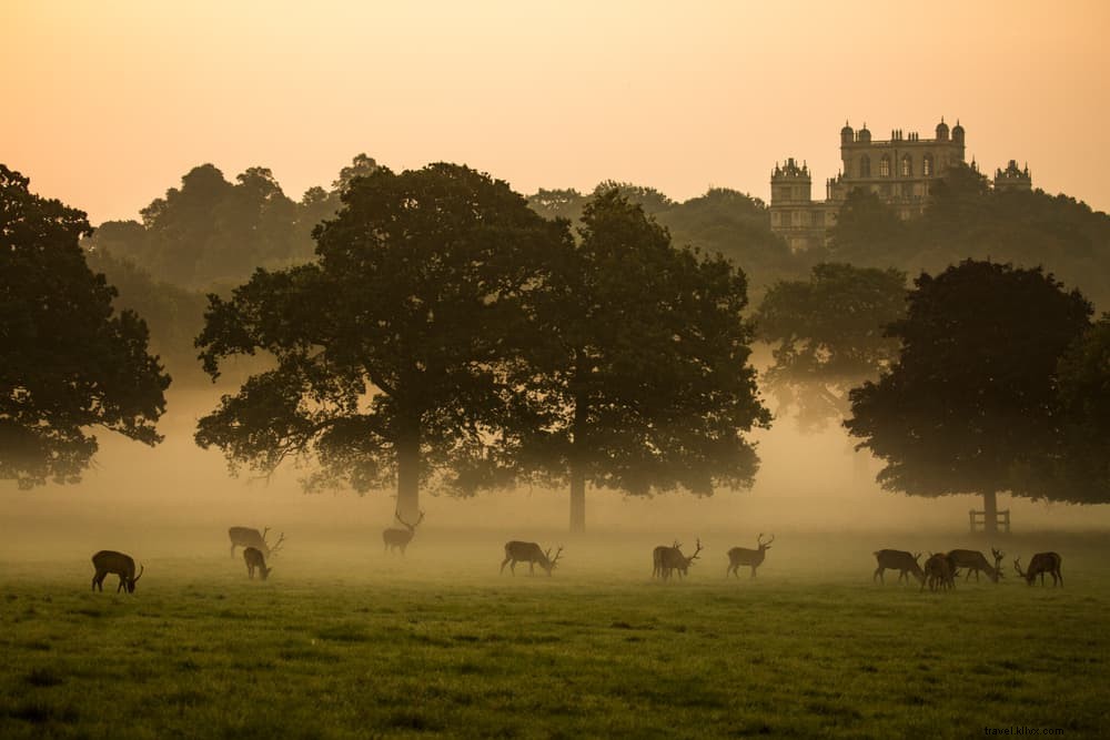 Les 15 plus beaux sites à explorer dans le Nottinghamshire