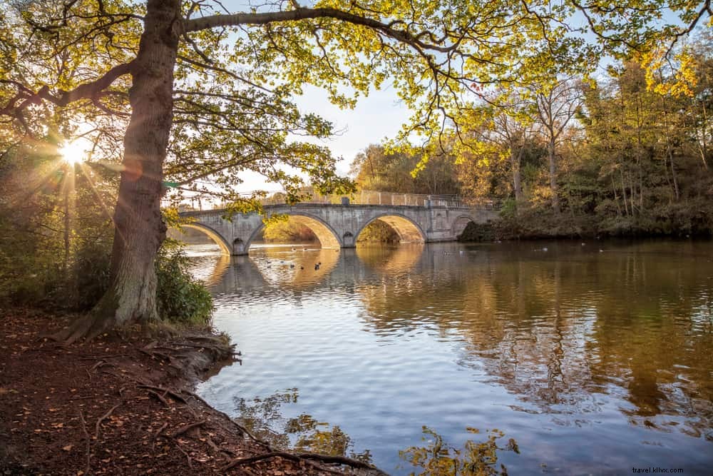 Les 15 plus beaux sites à explorer dans le Nottinghamshire
