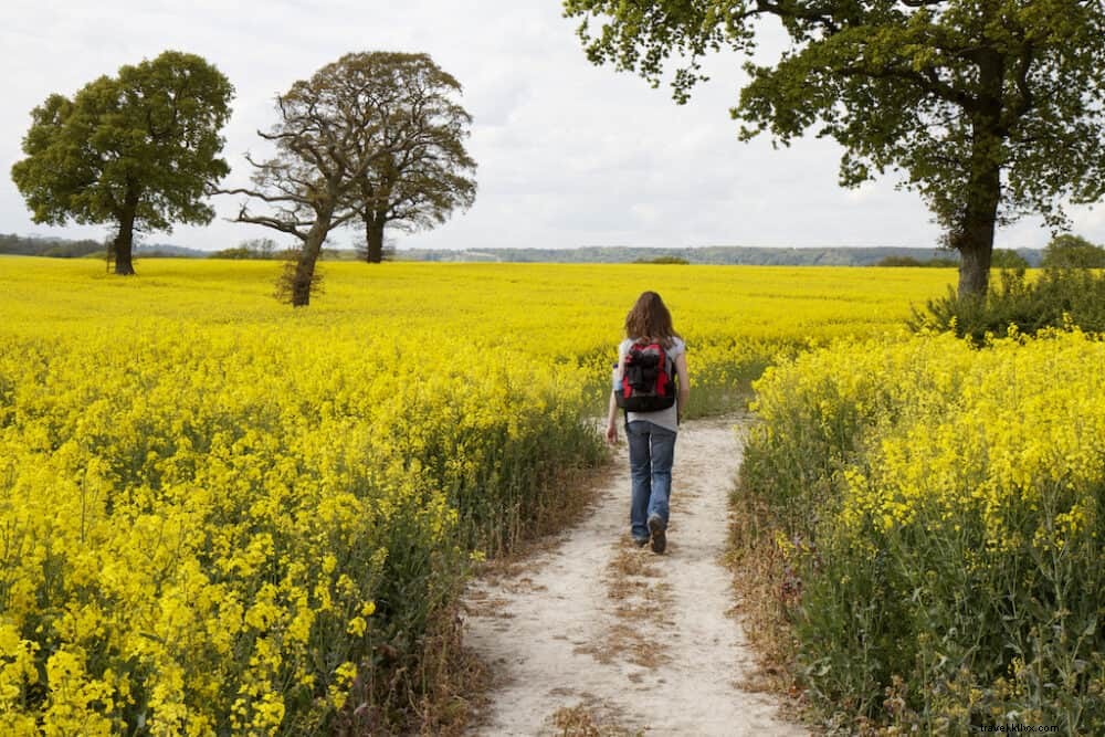 Les 17 plus beaux sites à découvrir dans l East Sussex