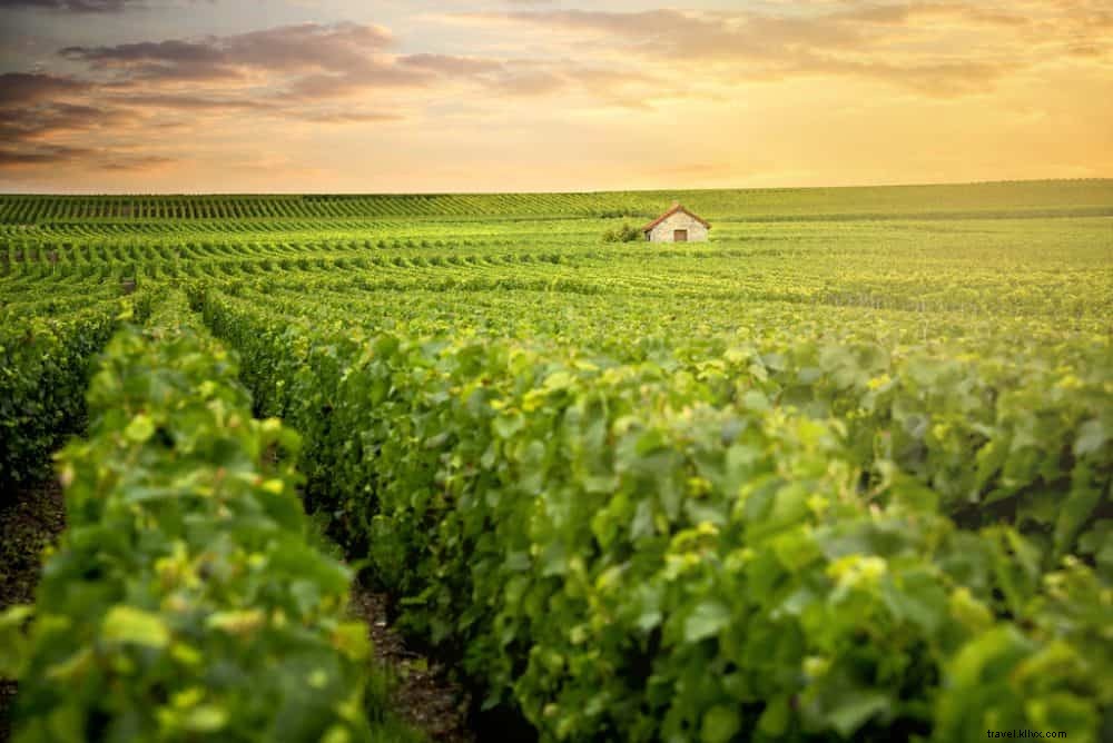 20 lieux incontournables à découvrir en France