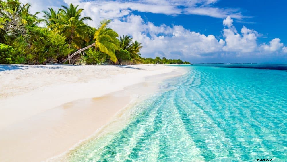 Top 10 des destinations idéales pour célébrer le réveillon du Nouvel An