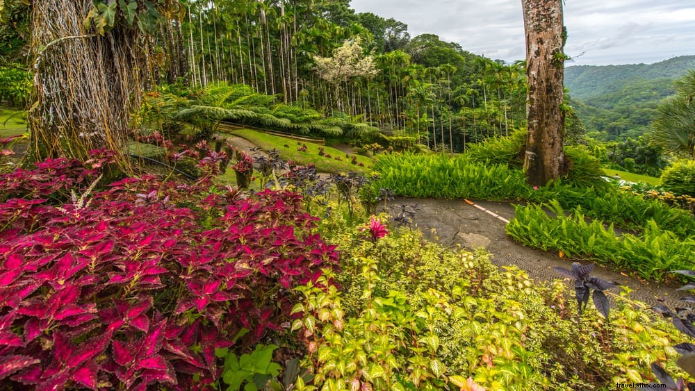 Les 14 plus beaux sites à découvrir en Martinique