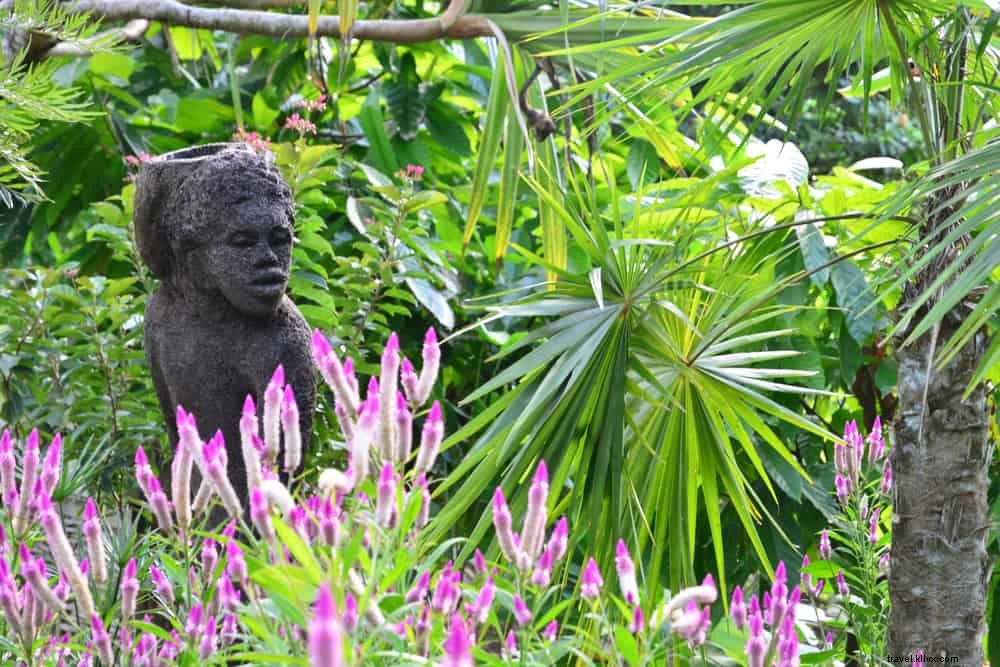 Les 14 plus beaux sites à découvrir en Martinique