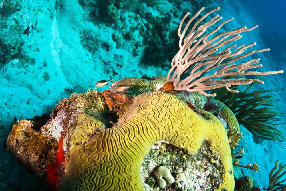 Les 15 plus beaux sites à découvrir à Saint‑Barthélemy