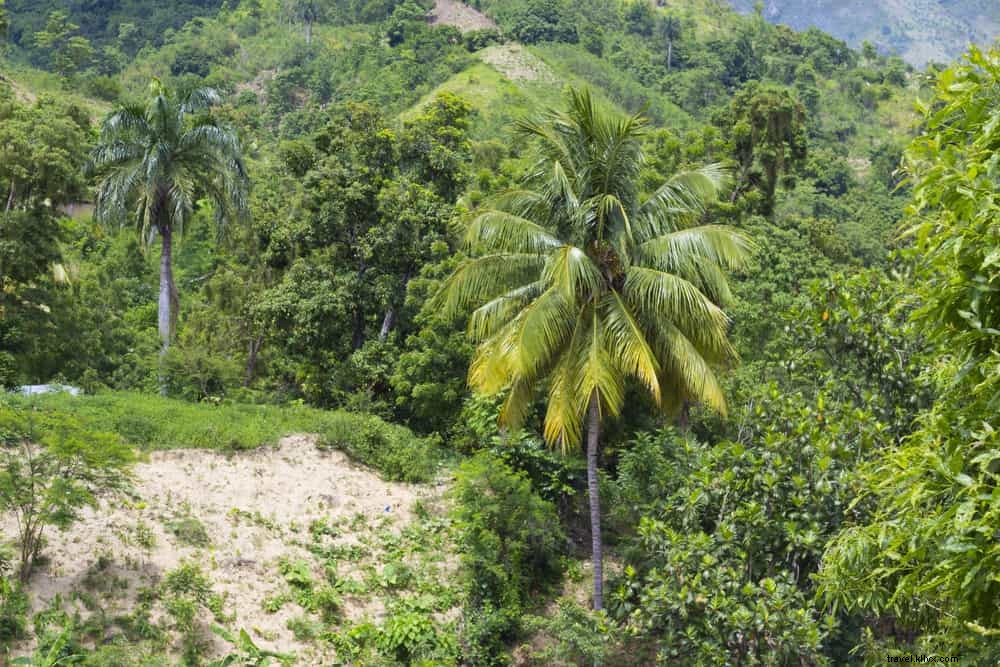 Les 15 plus beaux sites à découvrir en Haïti