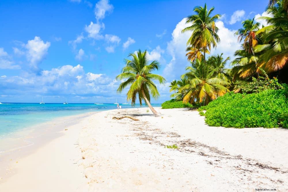 Les 15 plus beaux sites à découvrir en Haïti